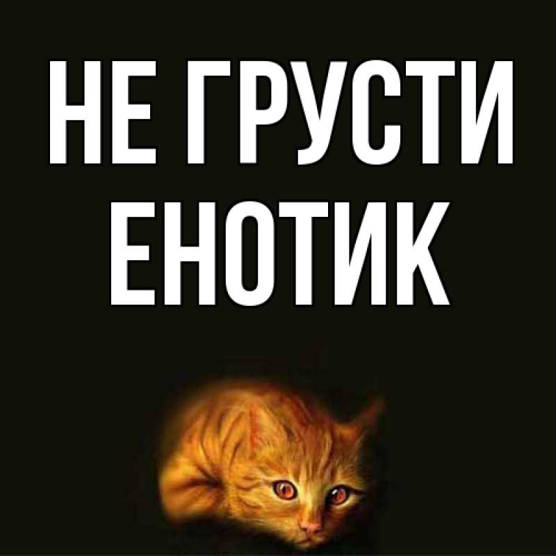 Картинка Не грусти, Енотик