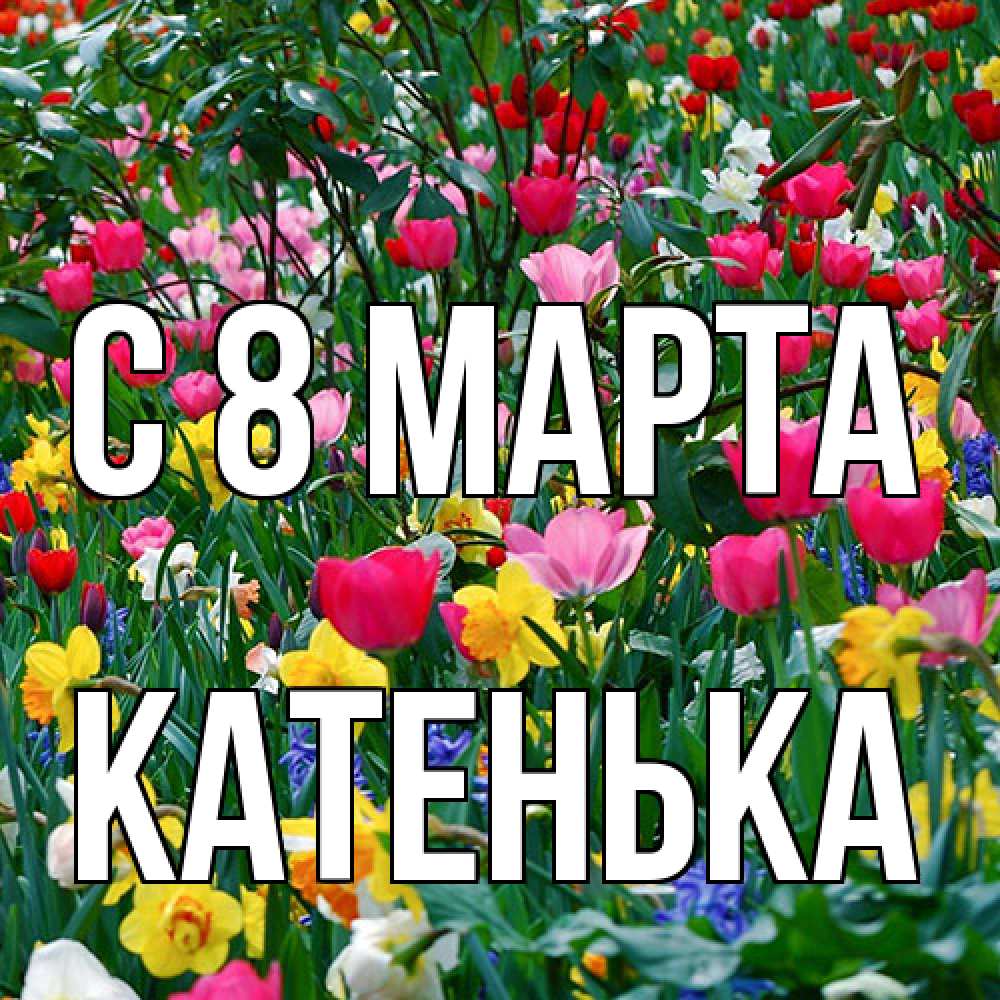 Открытка на каждый день с именем, Катенька C 8 МАРТА с международным женским днем поздравления для женщины Прикольная открытка с пожеланием онлайн скачать бесплатно 