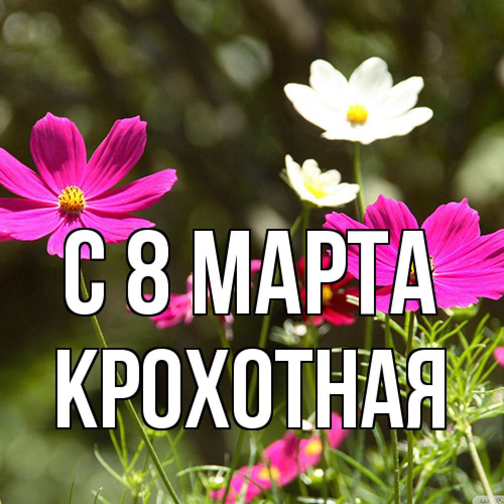 Открытка на каждый день с именем, Крохотная C 8 МАРТА цветы Прикольная открытка с пожеланием онлайн скачать бесплатно 