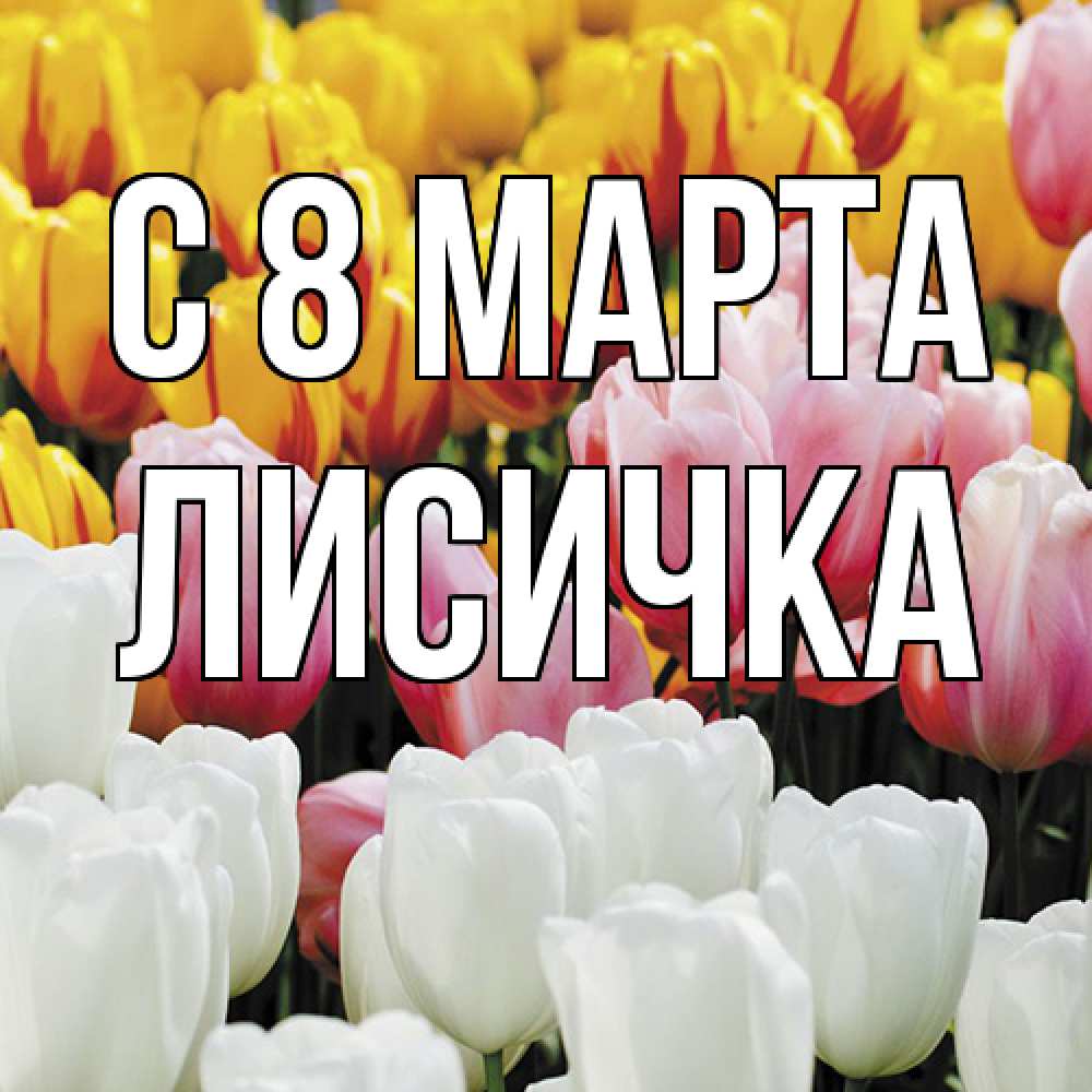 Открытка на каждый день с именем, Лисичка C 8 МАРТА разноцветные цветы Прикольная открытка с пожеланием онлайн скачать бесплатно 