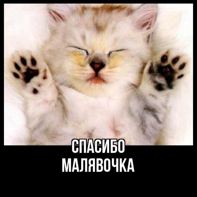 Картинка Спасибо, малявочка