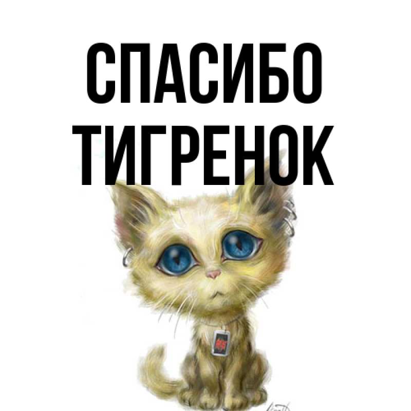 Картинка Спасибо, Тигpенок