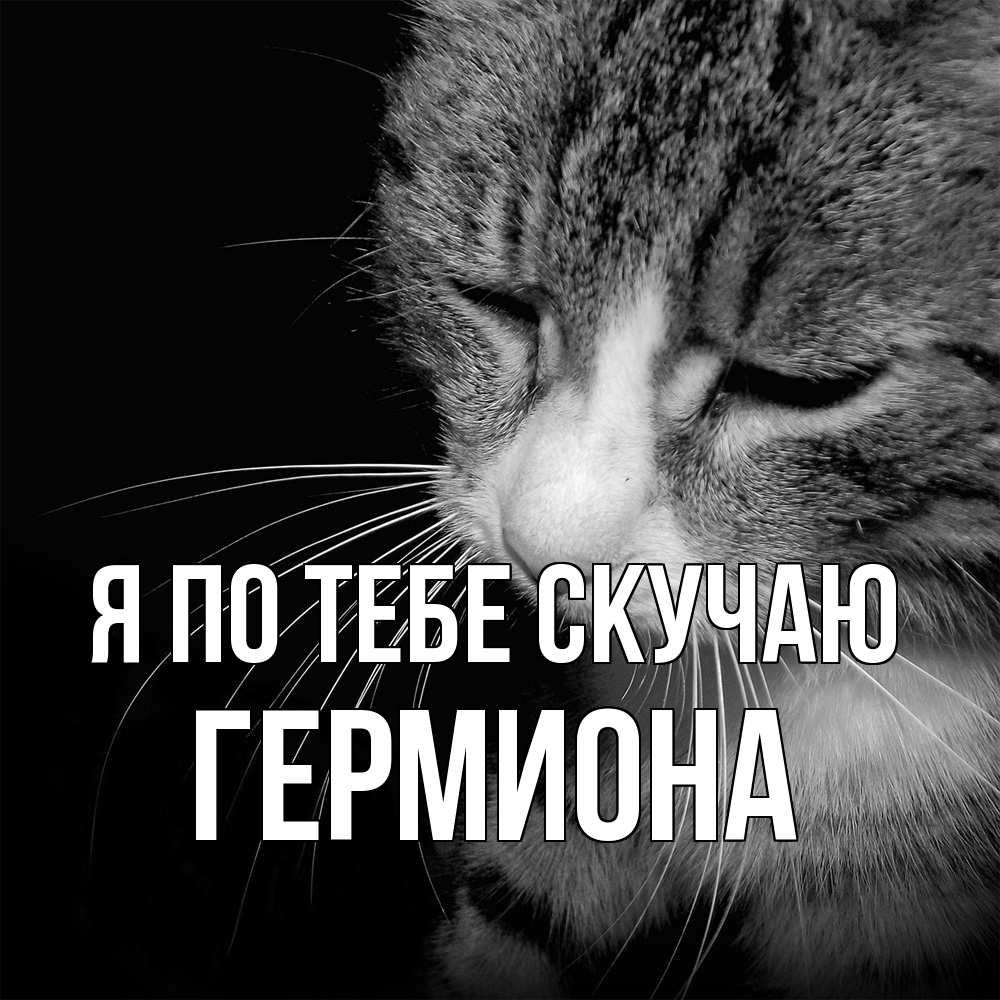 Открытка на каждый день с именем, Гермиона Я по тебе скучаю мне скучно Прикольная открытка с пожеланием онлайн скачать бесплатно 