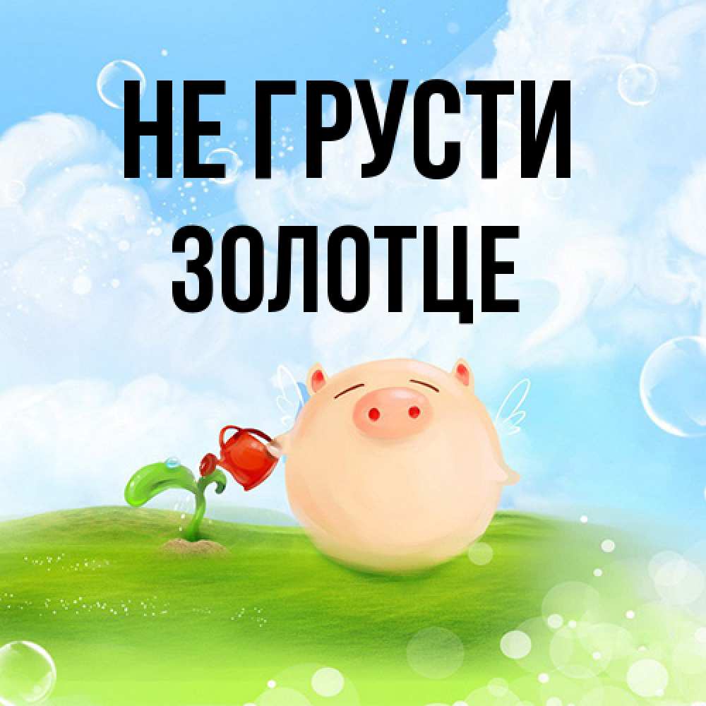Открытка на каждый день с именем, Золотце Не грусти поливает цветок порося Прикольная открытка с пожеланием онлайн скачать бесплатно 