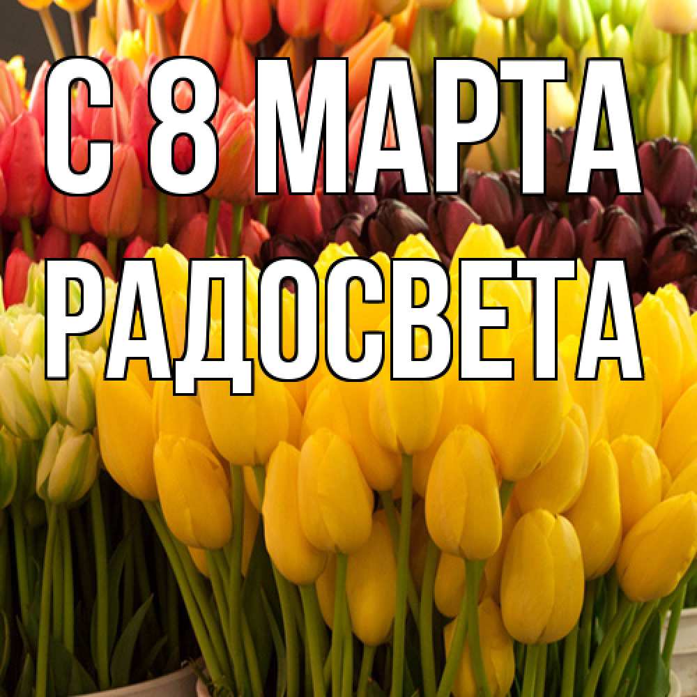 Открытка на каждый день с именем, Радосвета C 8 МАРТА цветы Прикольная открытка с пожеланием онлайн скачать бесплатно 