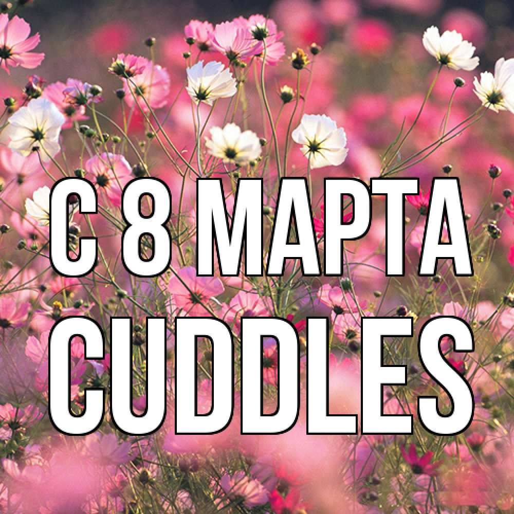 Открытка на каждый день с именем, Cuddles C 8 МАРТА красиво 1 Прикольная открытка с пожеланием онлайн скачать бесплатно 