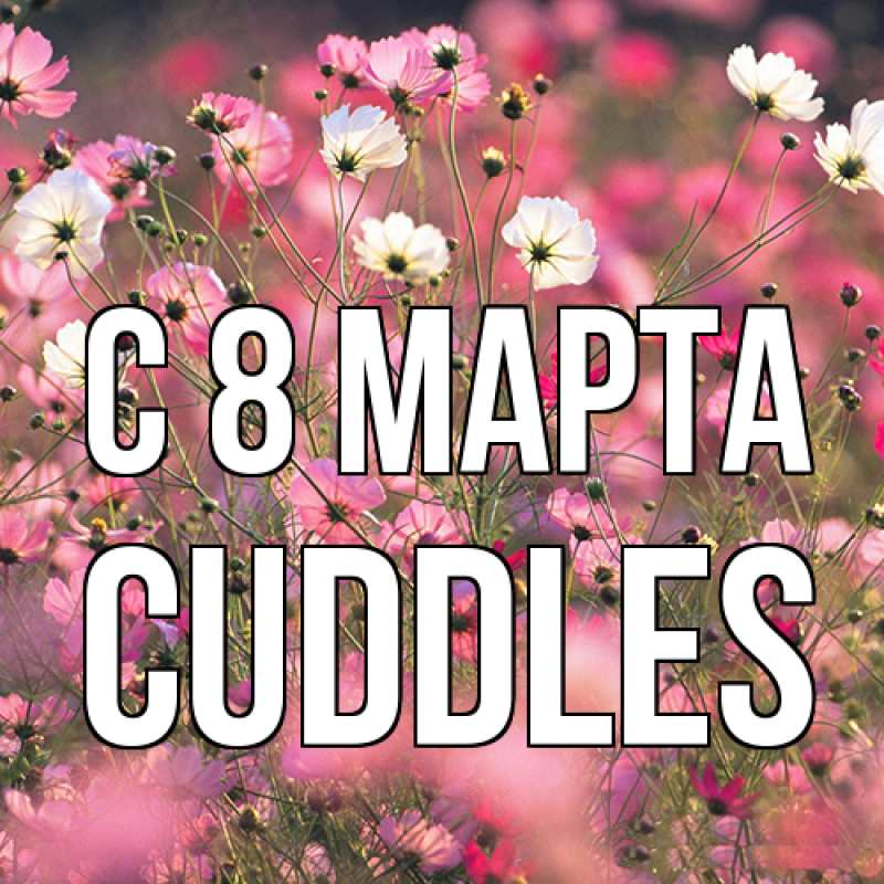 Открытка с именем, Cuddles, C 8 МАРТА