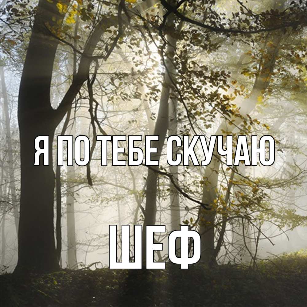 Открытка на каждый день с именем, Шеф Я по тебе скучаю грустно Прикольная открытка с пожеланием онлайн скачать бесплатно 