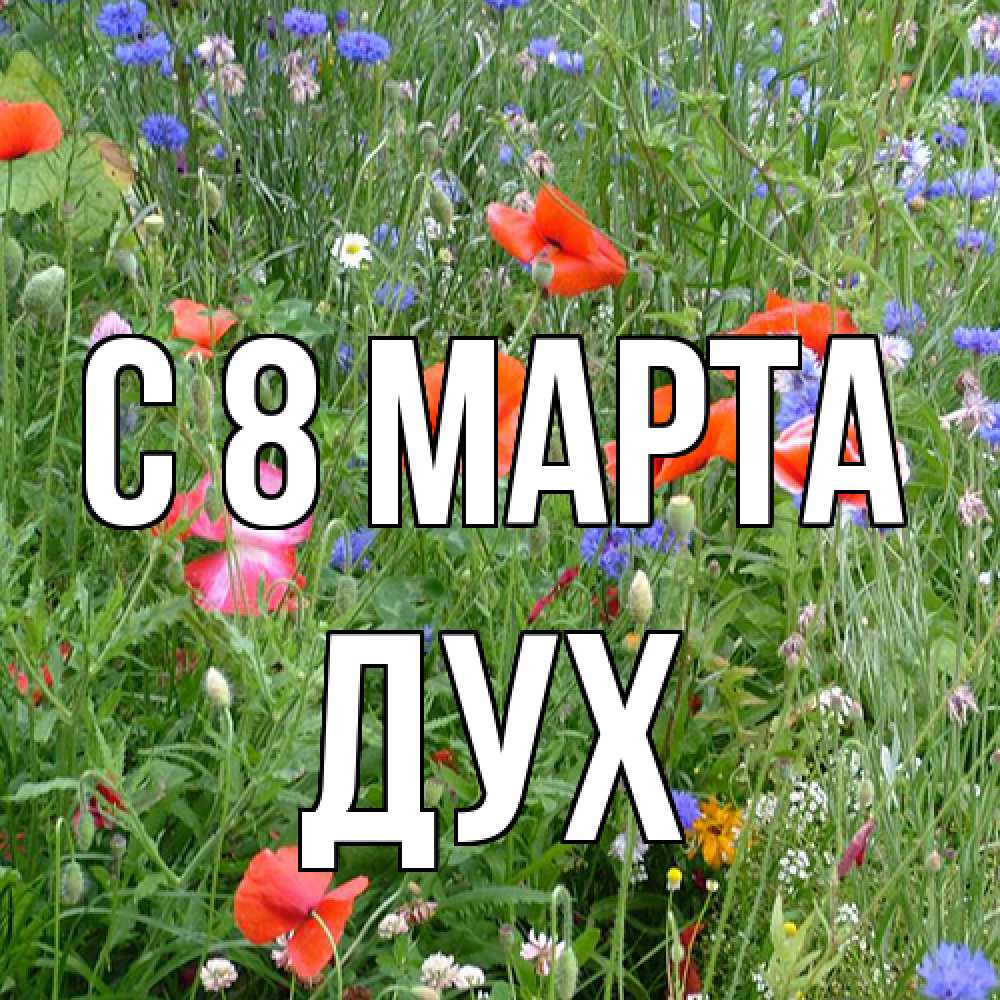 Открытка на каждый день с именем, Дух C 8 МАРТА международный женский день 4 Прикольная открытка с пожеланием онлайн скачать бесплатно 