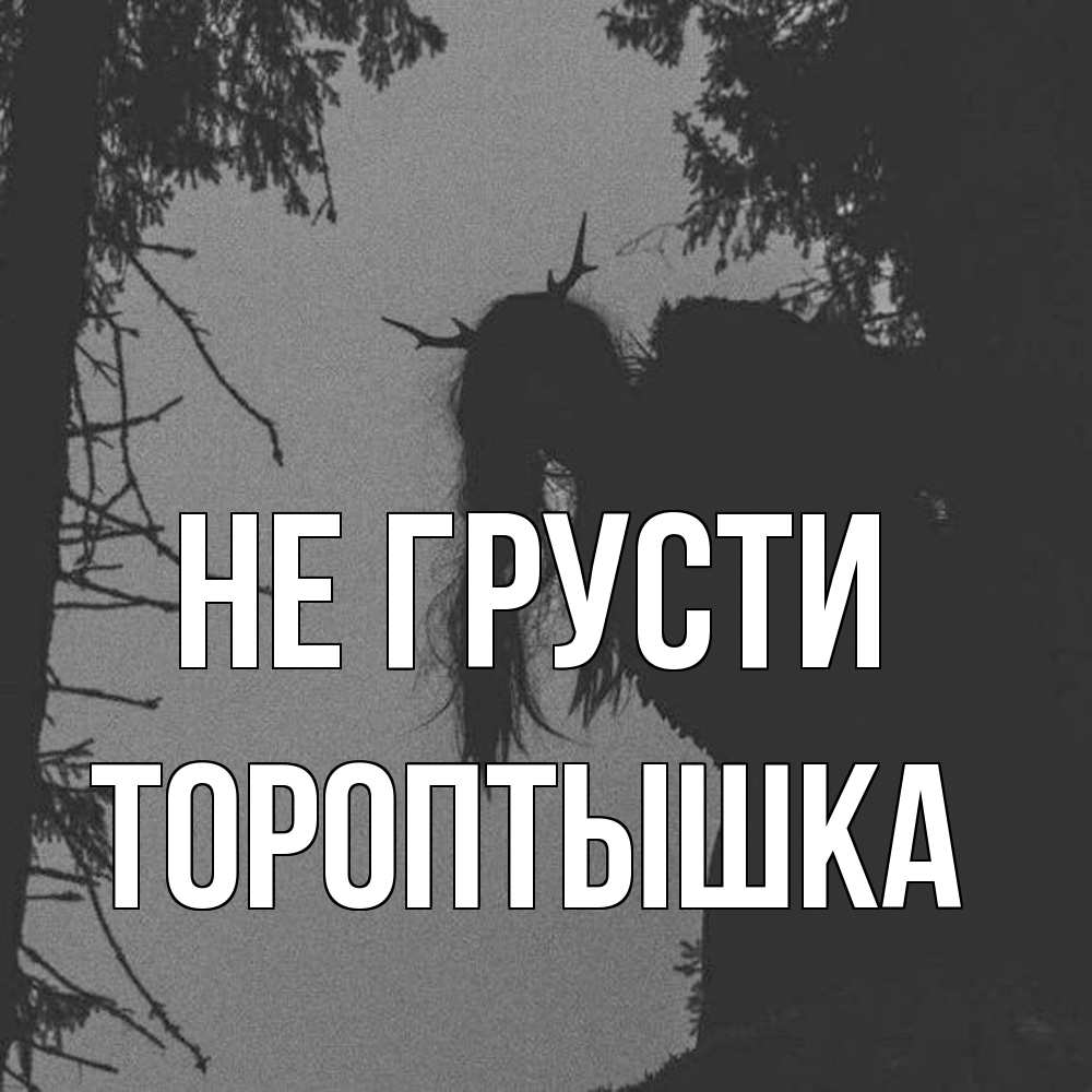 Открытка на каждый день с именем, Тороптышка Не грусти чудище лесное Прикольная открытка с пожеланием онлайн скачать бесплатно 