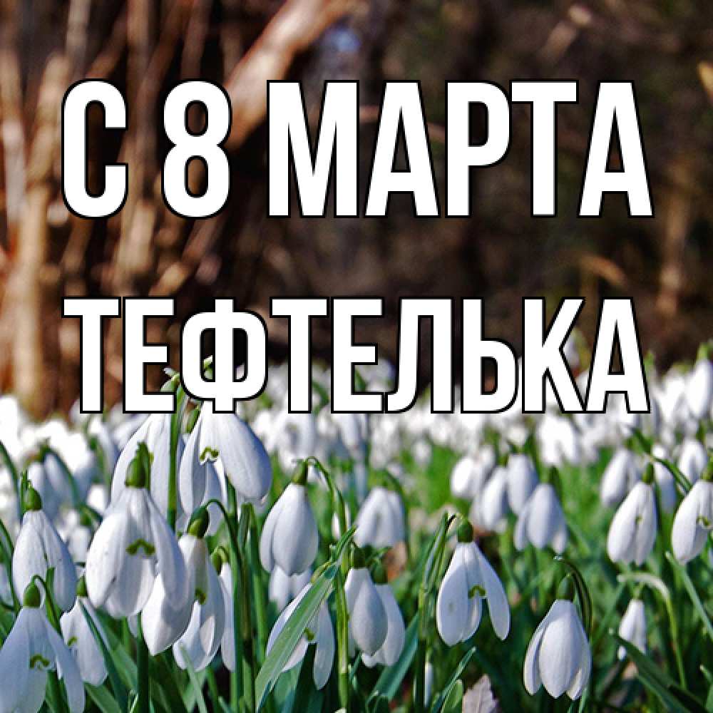 Открытка на каждый день с именем, тефтелька C 8 МАРТА с подснежниками 1 Прикольная открытка с пожеланием онлайн скачать бесплатно 