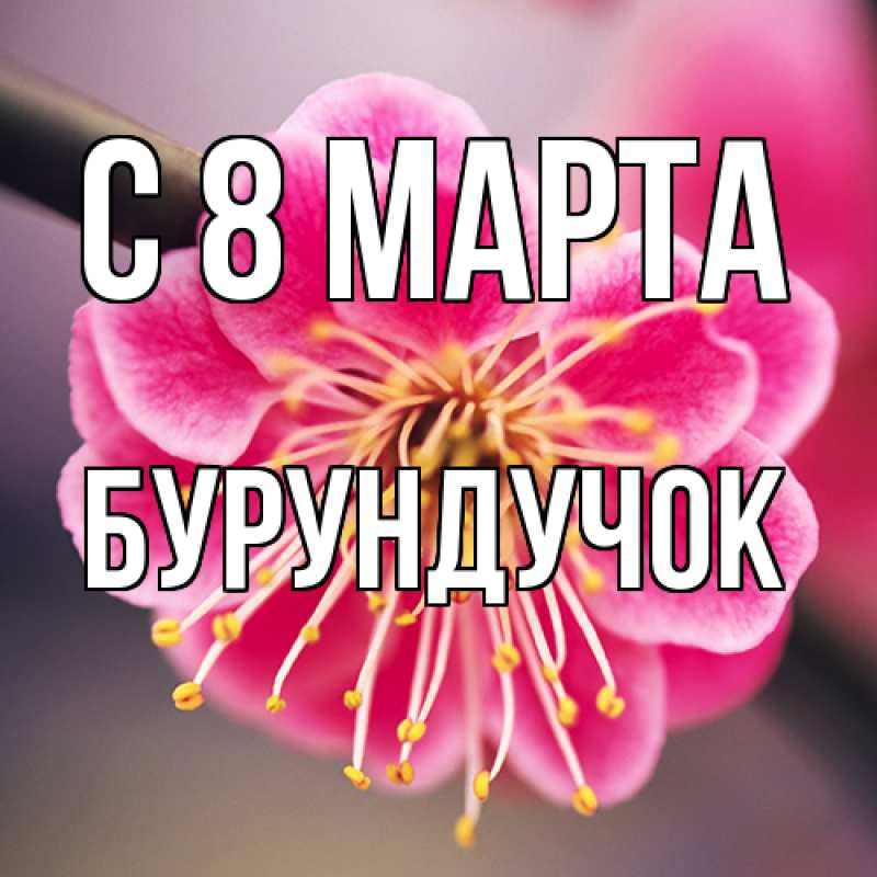 Картинка C 8 МАРТА, бурундучок