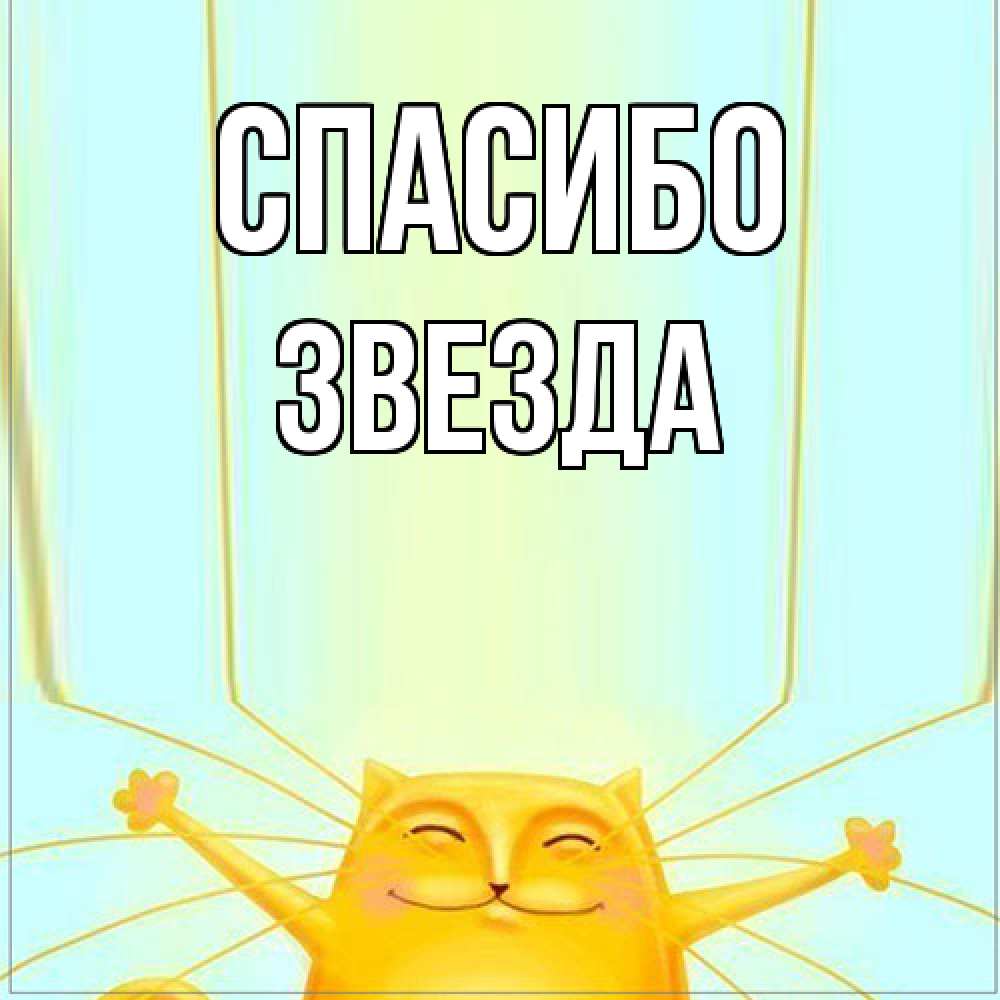Открытка на каждый день с именем, Звезда Спасибо кот с усами благодарит Прикольная открытка с пожеланием онлайн скачать бесплатно 