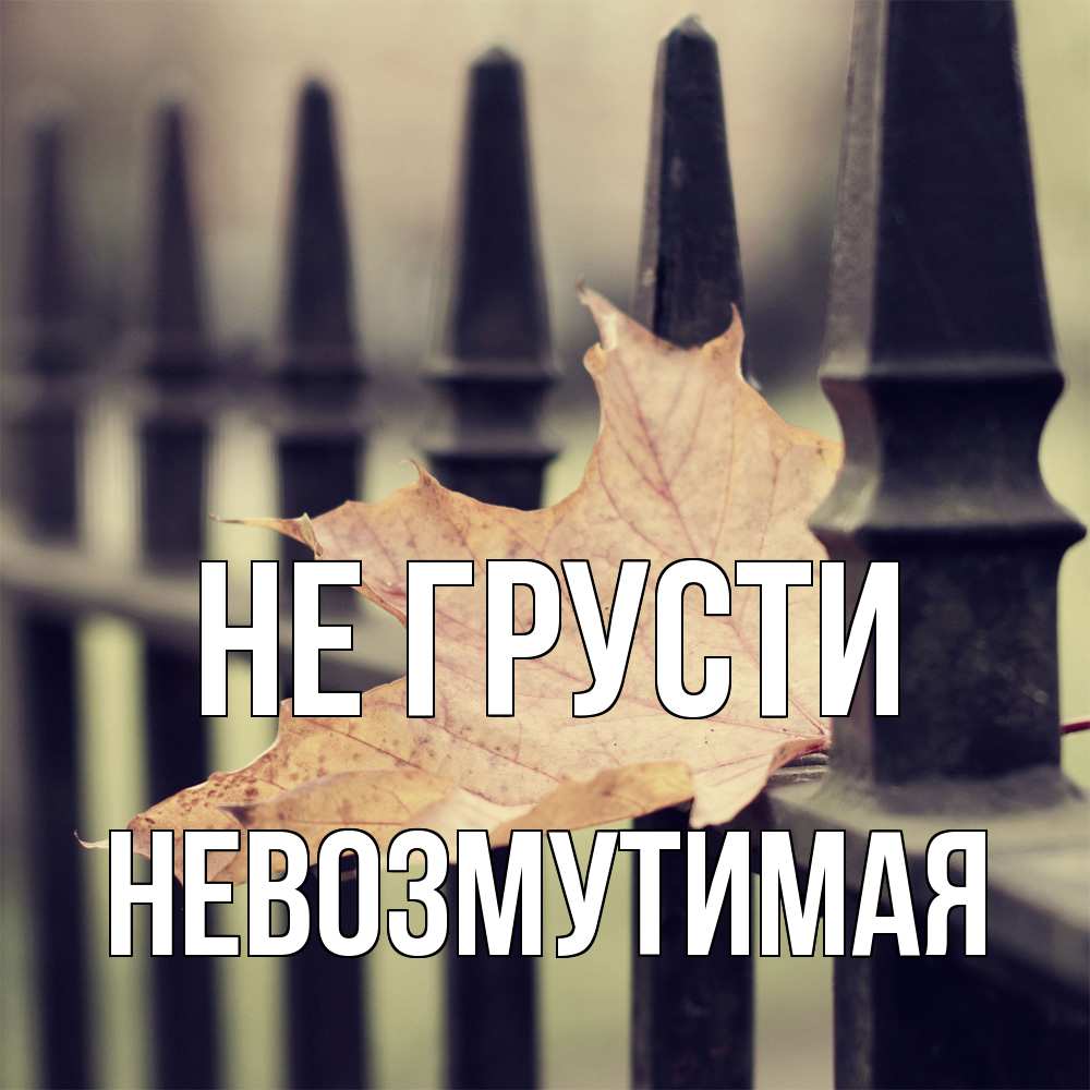 Открытка на каждый день с именем, Невозмутимая Не грусти лист клена Прикольная открытка с пожеланием онлайн скачать бесплатно 