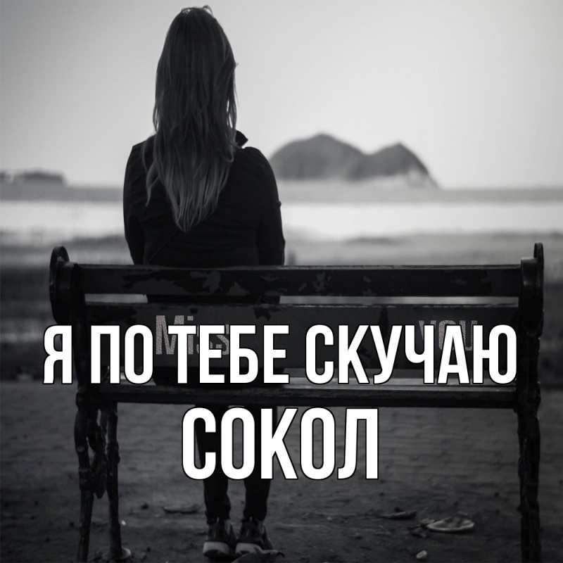 Картинка Я по тебе скучаю, Сокол