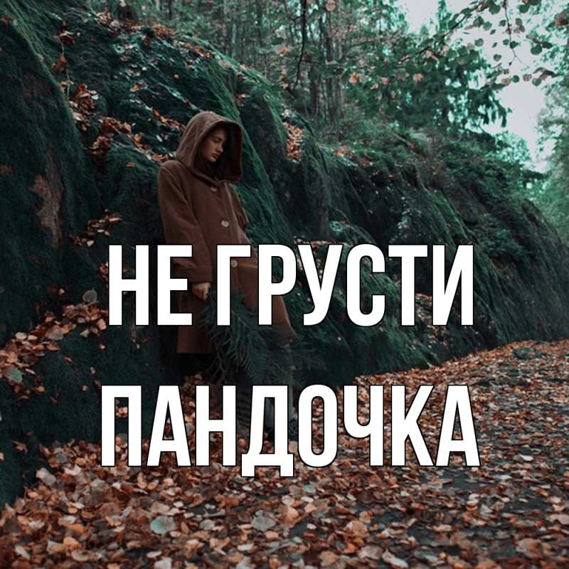 Картинка Не грусти, пандочка