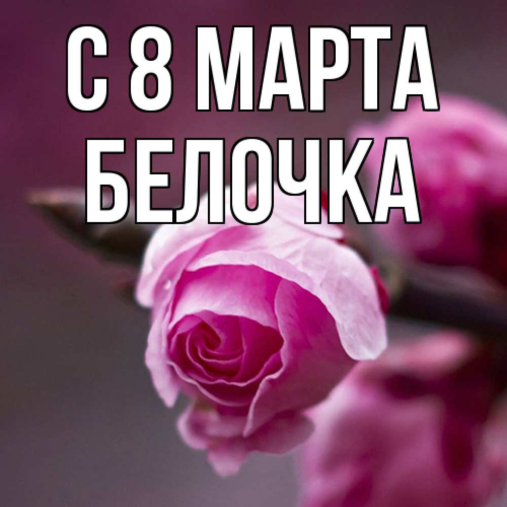 Открытка на каждый день с именем, Белочка C 8 МАРТА весна Прикольная открытка с пожеланием онлайн скачать бесплатно 