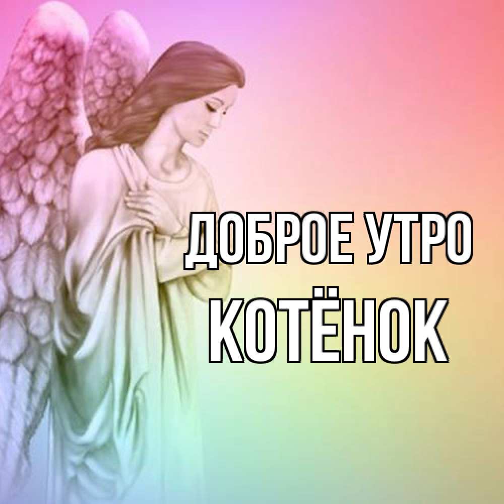 Открытка на каждый день с именем, Котёнок Доброе утро крылья Прикольная открытка с пожеланием онлайн скачать бесплатно 
