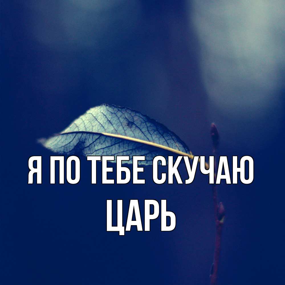 Открытка на каждый день с именем, Царь Я по тебе скучаю одна ветка 1 Прикольная открытка с пожеланием онлайн скачать бесплатно 