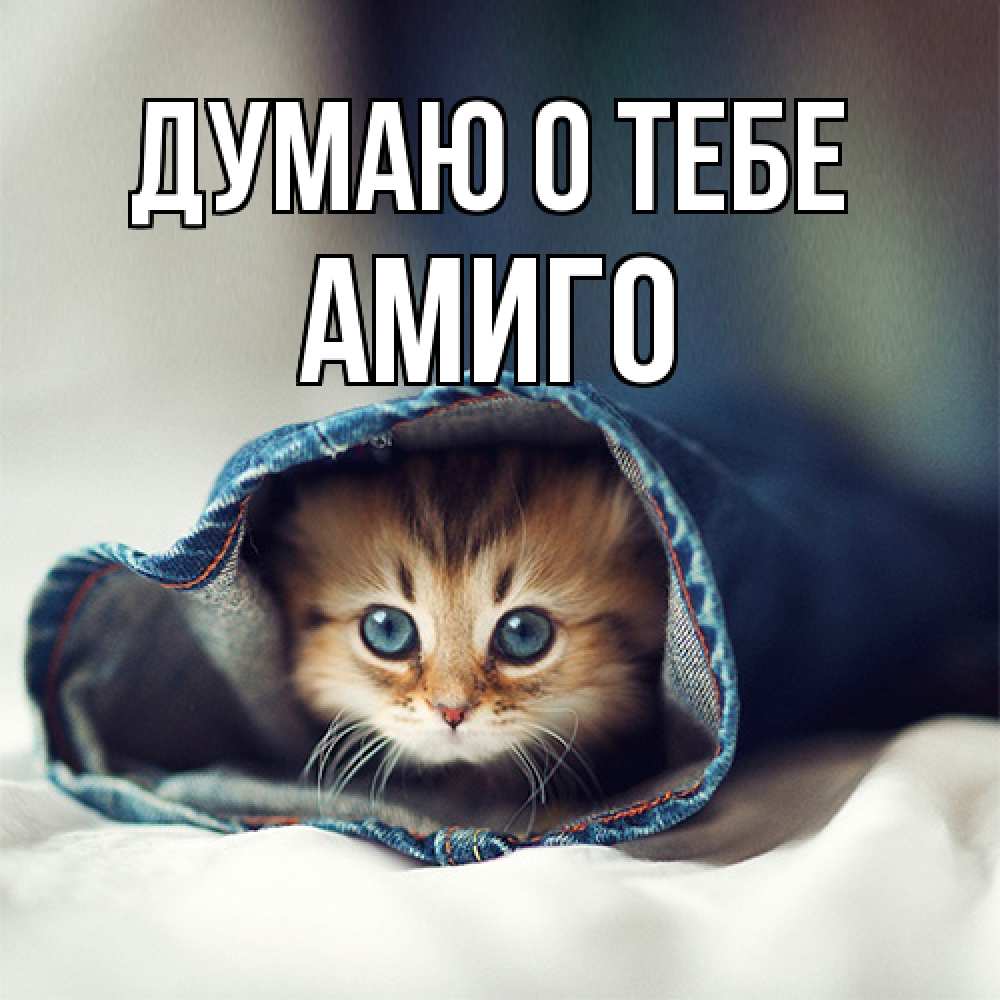 Открытка на каждый день с именем, Амиго Думаю о тебе мне без тебя плохо Прикольная открытка с пожеланием онлайн скачать бесплатно 
