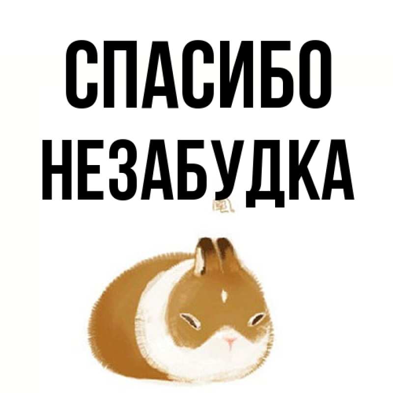 Открытка с именем, Незабудка, Спасибо