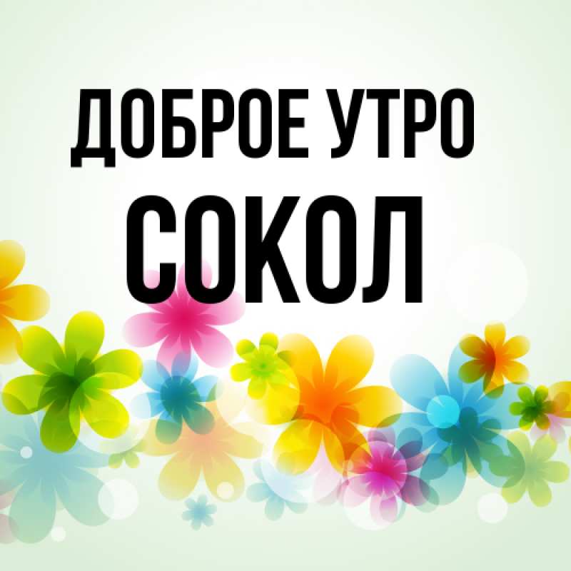 Картинка Доброе утро, Сокол