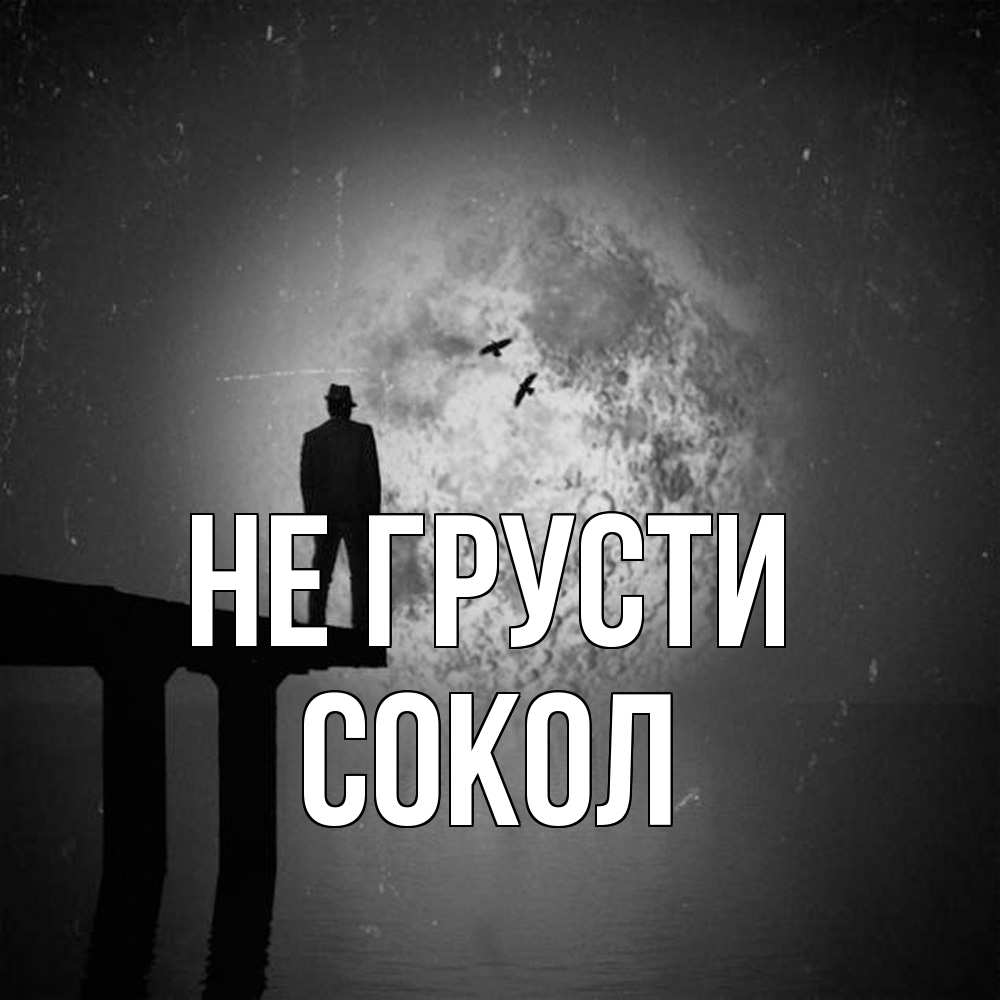 Открытка на каждый день с именем, Сокол Не грусти мужчина на мосту Прикольная открытка с пожеланием онлайн скачать бесплатно 