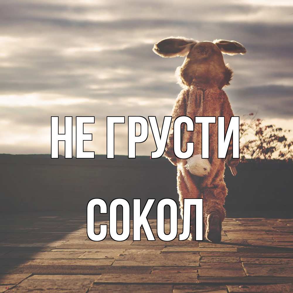 Открытка на каждый день с именем, Сокол Не грусти со спины Прикольная открытка с пожеланием онлайн скачать бесплатно 