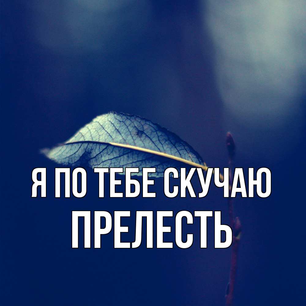 Открытка на каждый день с именем, прелесть Я по тебе скучаю одна ветка 1 Прикольная открытка с пожеланием онлайн скачать бесплатно 