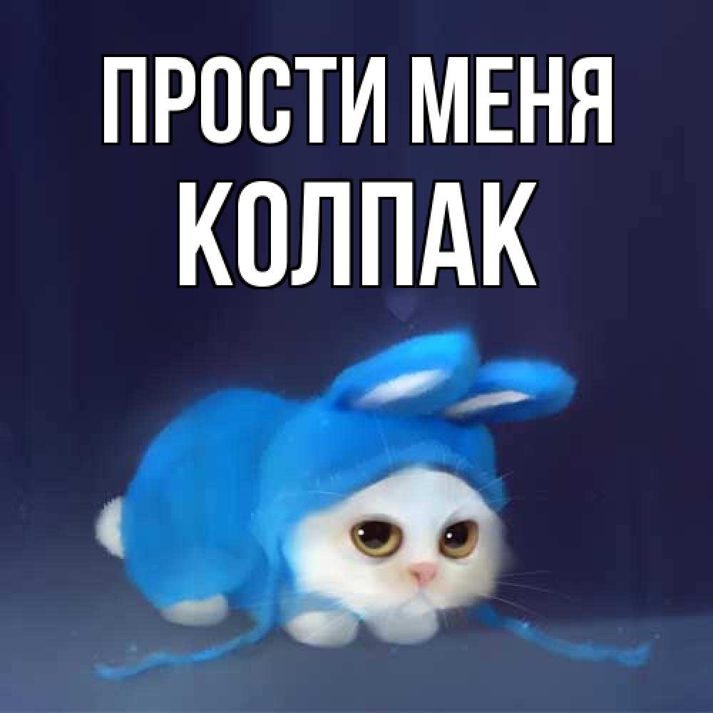 Открытка на каждый день с именем, Колпак Прости меня невинный котозай просит прощения Прикольная открытка с пожеланием онлайн скачать бесплатно 