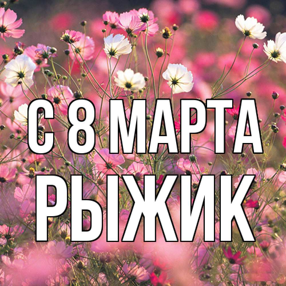 Открытка на каждый день с именем, рыжик C 8 МАРТА красиво 1 Прикольная открытка с пожеланием онлайн скачать бесплатно 