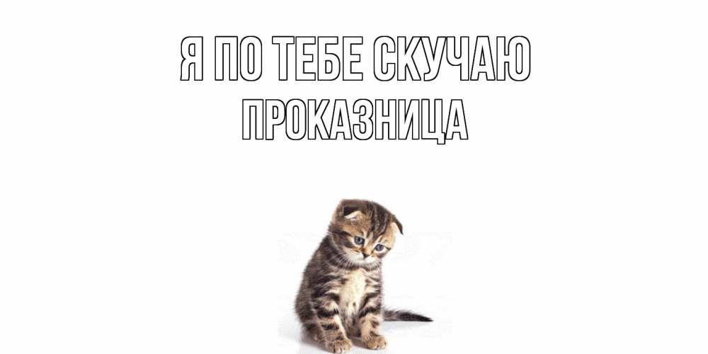 Открытка на каждый день с именем, Проказница Я по тебе скучаю кот Прикольная открытка с пожеланием онлайн скачать бесплатно 