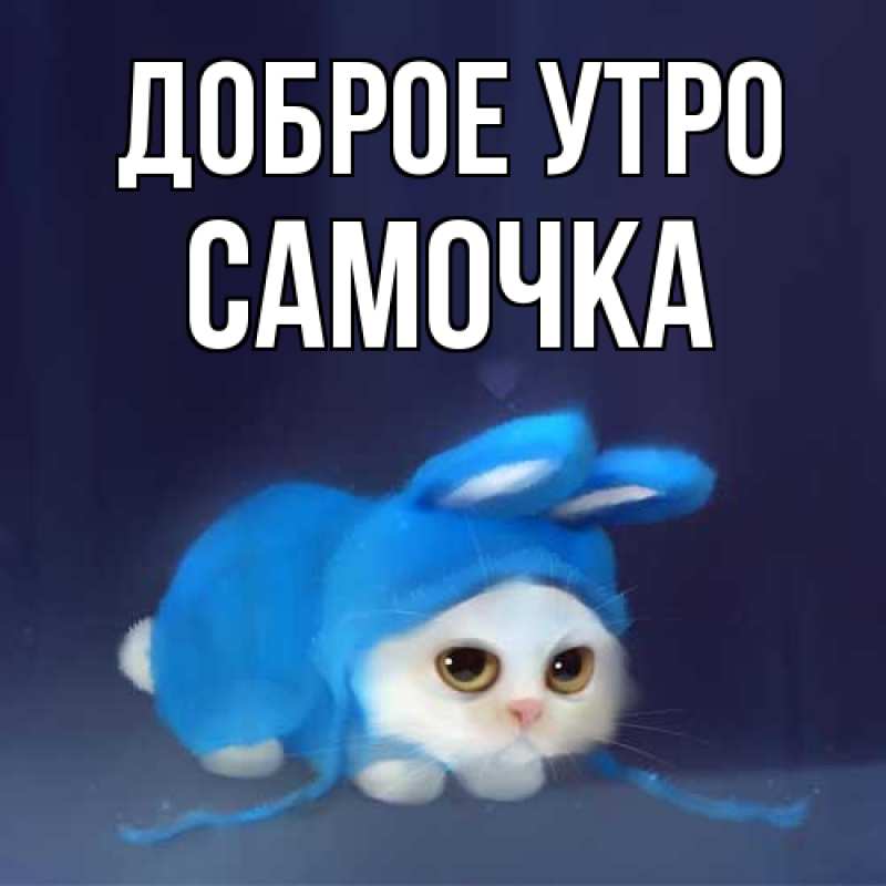 Картинка Доброе утро, Самочка