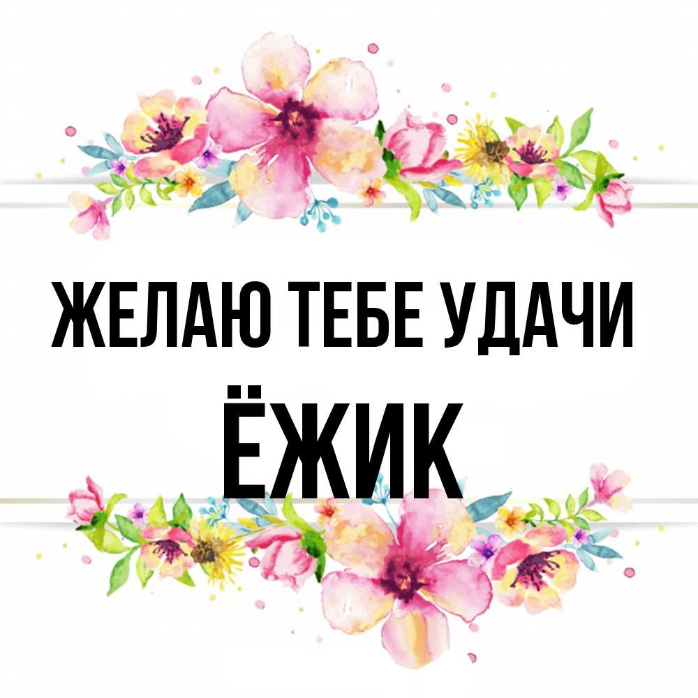 Открытка на каждый день с именем, Ёжик Желаю тебе удачи пусть повезет 1 Прикольная открытка с пожеланием онлайн скачать бесплатно 