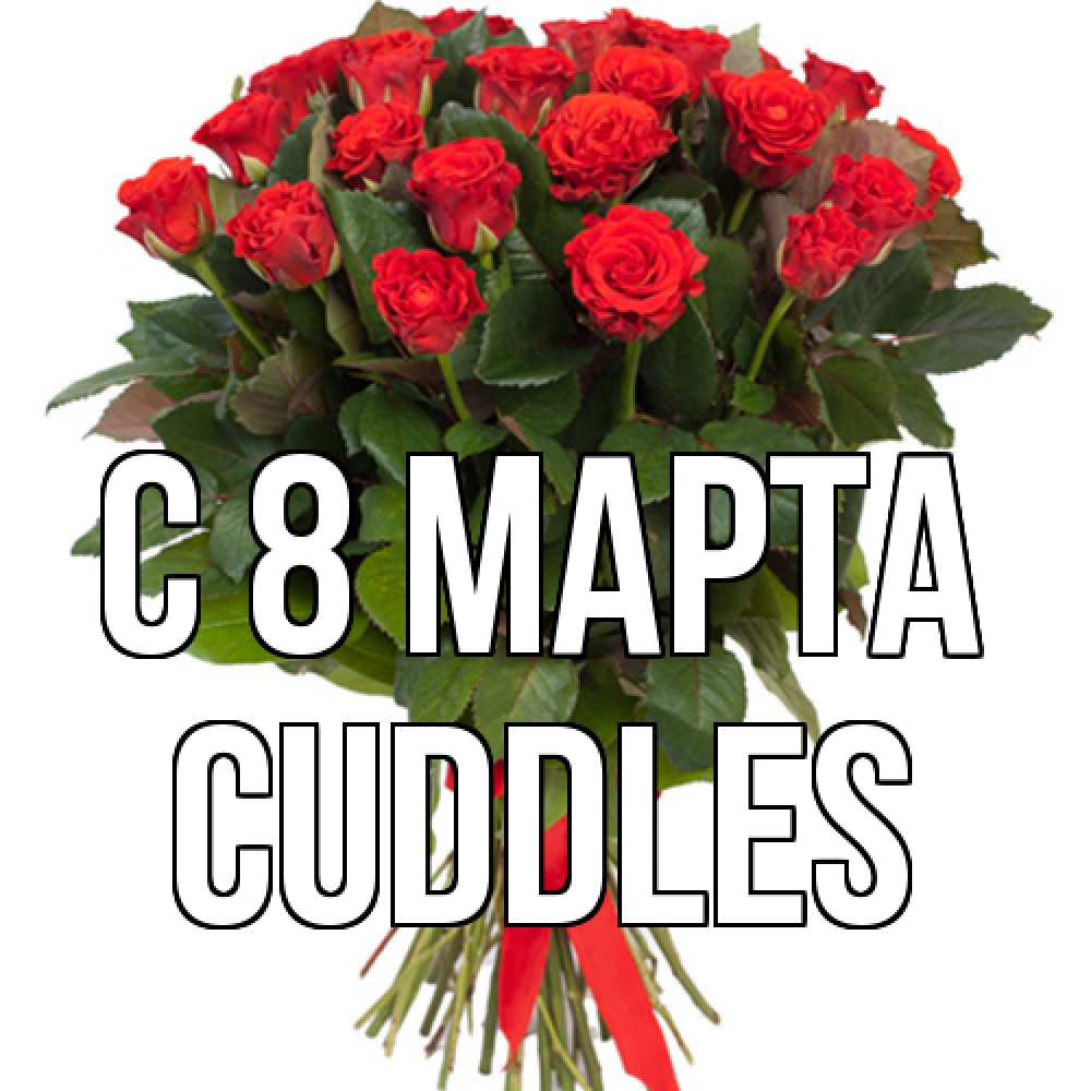 Открытка на каждый день с именем, Cuddles C 8 МАРТА цветы на 8 марта 1 Прикольная открытка с пожеланием онлайн скачать бесплатно 