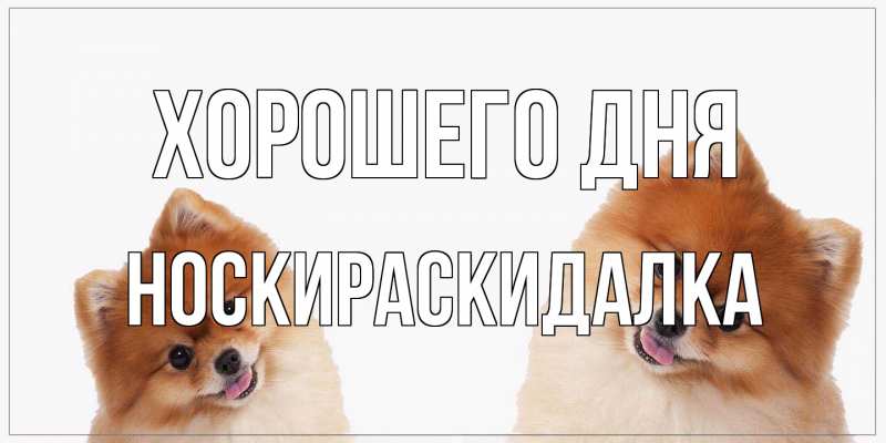 Картинка Хорошего дня, Носкираскидалка