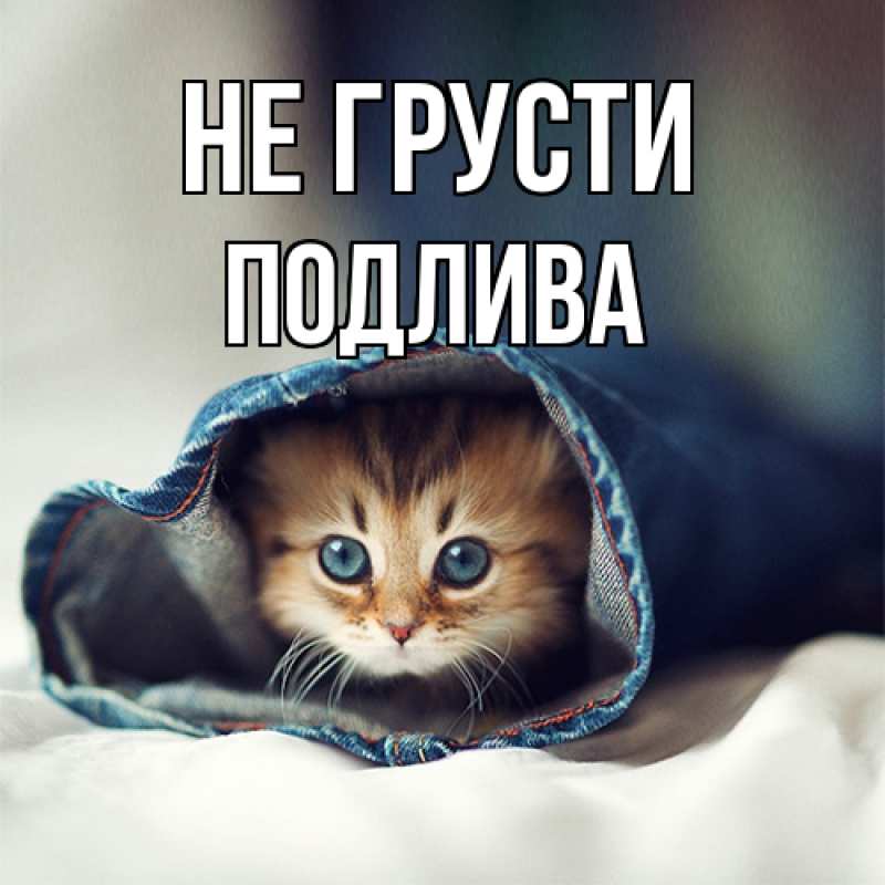 Картинка Не грусти, Подлива