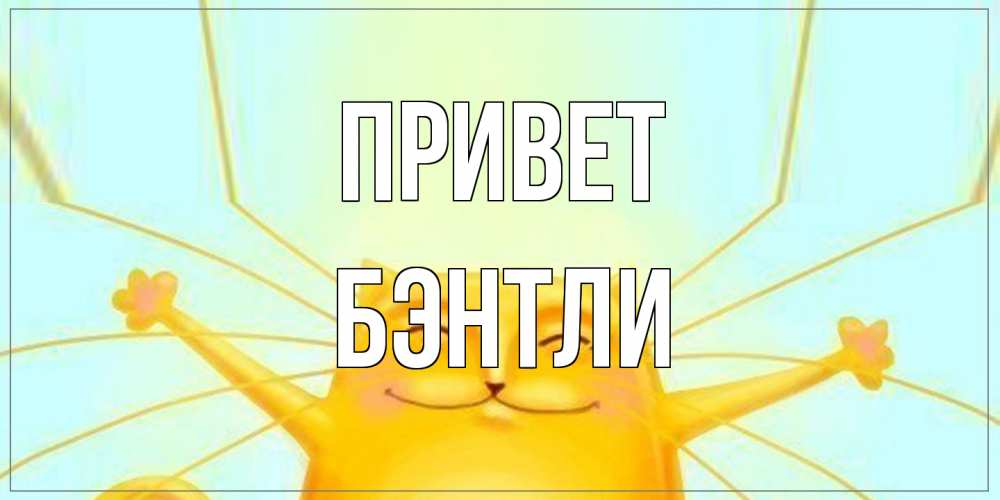 Открытка на каждый день с именем, Бэнтли Привет кот Прикольная открытка с пожеланием онлайн скачать бесплатно 