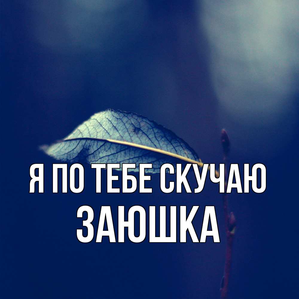 Открытка на каждый день с именем, Заюшка Я по тебе скучаю одна ветка 1 Прикольная открытка с пожеланием онлайн скачать бесплатно 