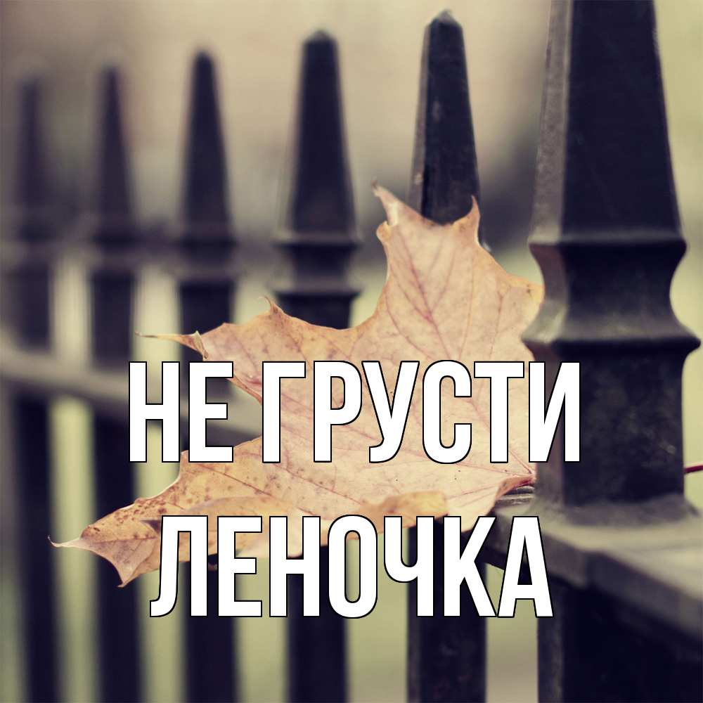 Открытка на каждый день с именем, Леночка Не грусти лист клена Прикольная открытка с пожеланием онлайн скачать бесплатно 