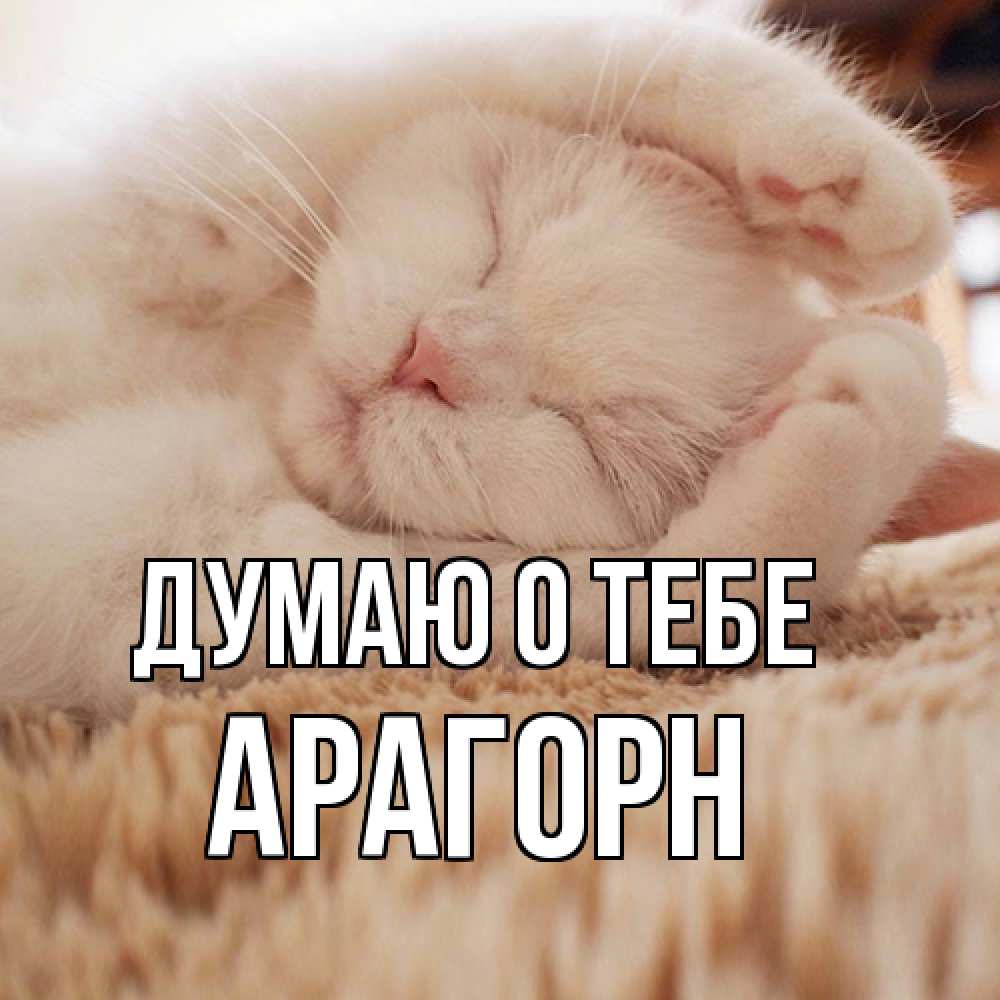 Открытка на каждый день с именем, Арагорн Думаю о тебе для любимой девушки милота Прикольная открытка с пожеланием онлайн скачать бесплатно 