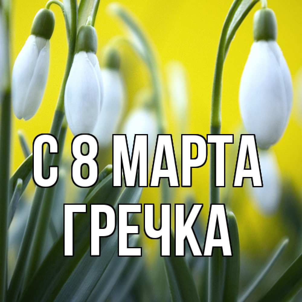 Открытка на каждый день с именем, Гречка C 8 МАРТА весенние цветы Прикольная открытка с пожеланием онлайн скачать бесплатно 