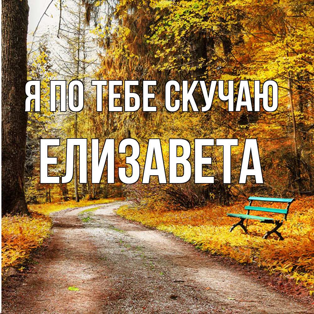 Открытка на каждый день с именем, Елизавета Я по тебе скучаю зеленая лавочка и осенний лес Прикольная открытка с пожеланием онлайн скачать бесплатно 