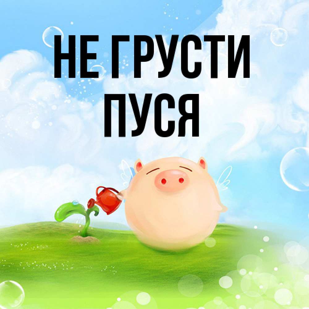 Открытка на каждый день с именем, Пуся Не грусти поливает цветок порося Прикольная открытка с пожеланием онлайн скачать бесплатно 