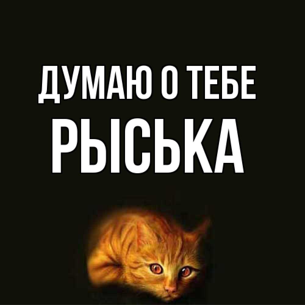 Открытка на каждый день с именем, Рыська Думаю о тебе рыжий Прикольная открытка с пожеланием онлайн скачать бесплатно 