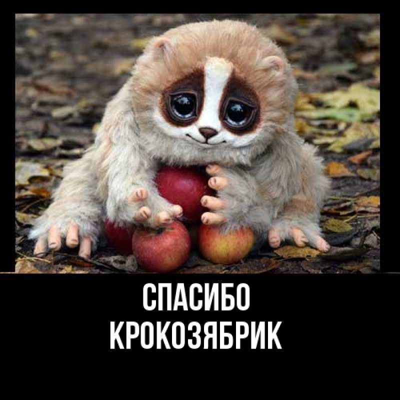Картинка Спасибо, крокозябрик