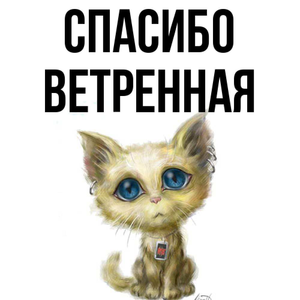 Открытка на каждый день с именем, Ветренная Спасибо рисованный кот благодарит вас Прикольная открытка с пожеланием онлайн скачать бесплатно 