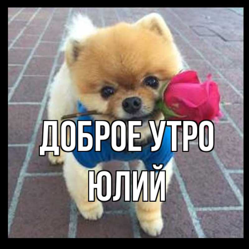 Картинка Доброе утро, Юлий