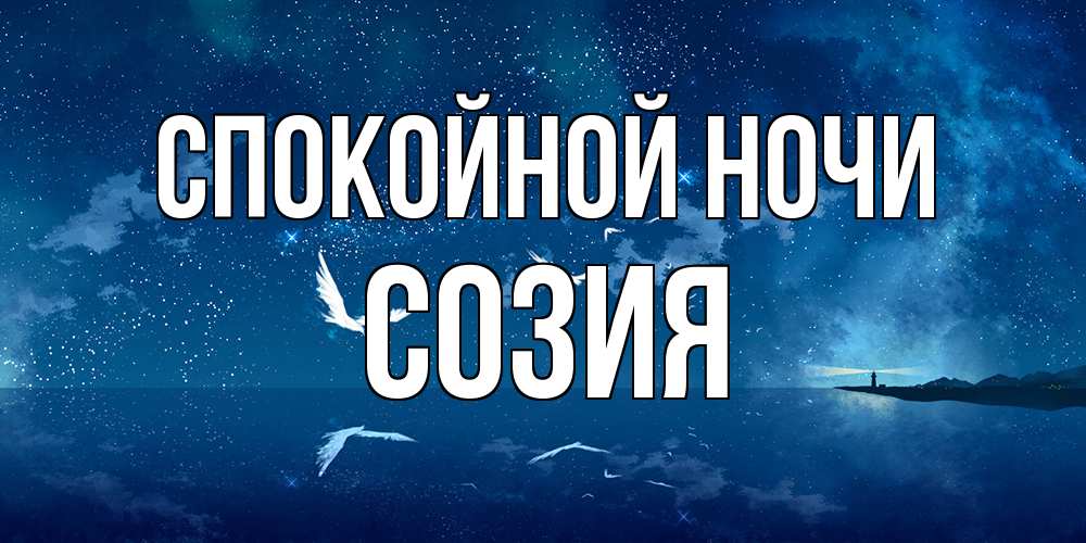 Открытка на каждый день с именем, Созия Спокойной ночи птицы летят на фоне ночного неба Прикольная открытка с пожеланием онлайн скачать бесплатно 