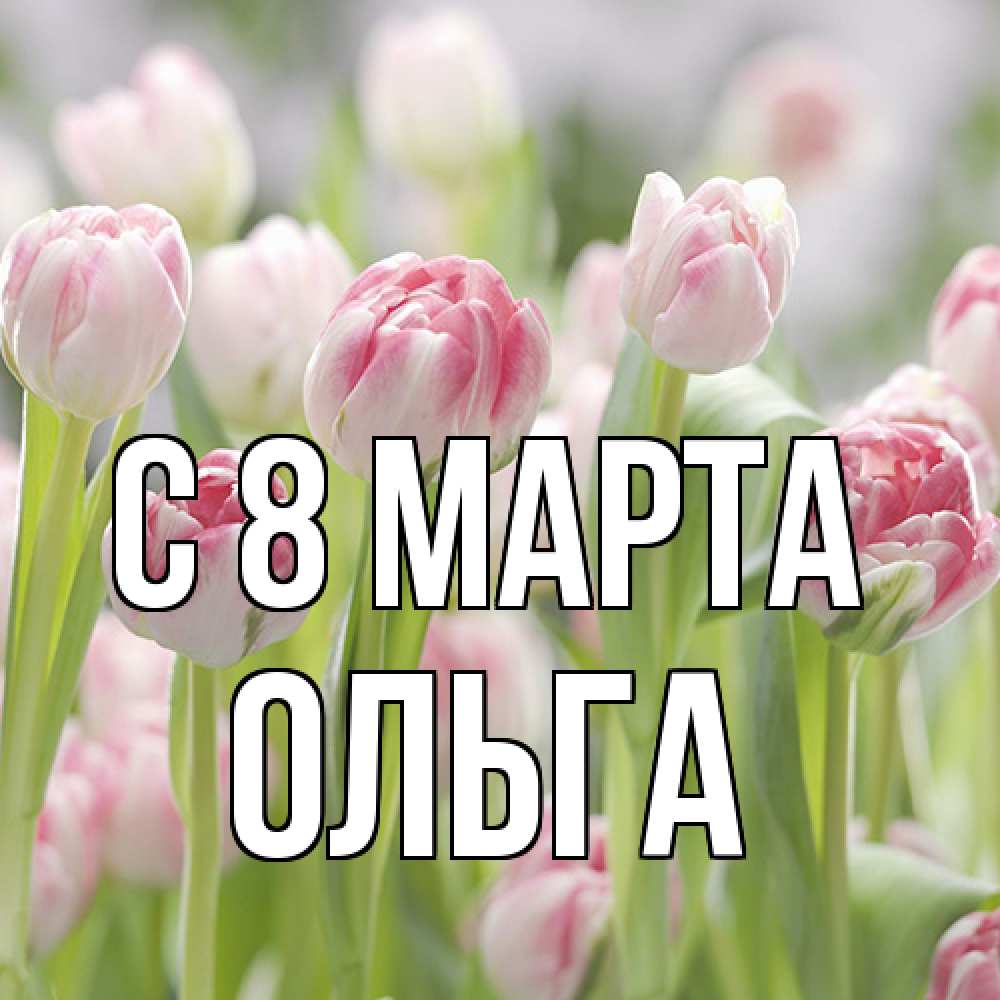 Открытка на каждый день с именем, Ольга C 8 МАРТА цветы Прикольная открытка с пожеланием онлайн скачать бесплатно 
